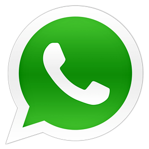 icono whatsapp tiny